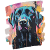 Labrador
