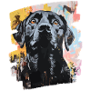 Labrador
