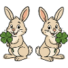 Rabbit Shamrock 2