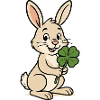 Rabbit Clover