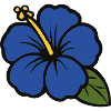 Fleur d’hibiscus