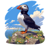 Puffin