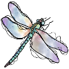 Libelle