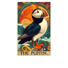 Puffin