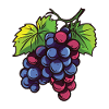 Grapes