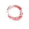The Legend Has Retired Celebration