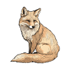 Fuchs
