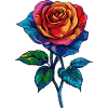 Rose