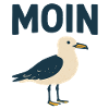Moin