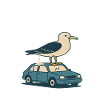 Moewenschiss happens