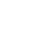 2019 2019 2019