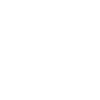 2016 2016 2016