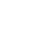 2017 2017 2017