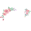 Lettre a fleurs