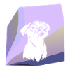 Mops Fellpflege