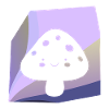 Vegetarian Mycology Mushroom Picking