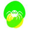 Arachnid tarantula