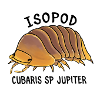 Isopode cubaris sp jupiter