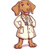 Doctor Dog – Cartoon Illustration