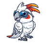 Cockatoo with sunglasses