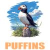 Puffin