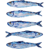 Fisch Print