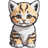 Cute Cat - Pet Cat Design