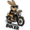 Rabbit Biker