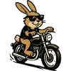 Rabbit Biker