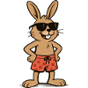 Bunny Sunglasses