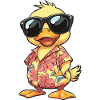 Duck Cool Summer