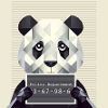 Panda Mugshot – Caught with animals!