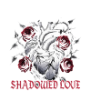 Dark Romance Shadowed Love