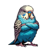 Budgie Budgie Owners Budgies