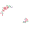 Lettre d fleurs