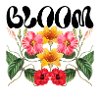 bloom