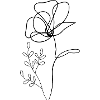 Blumenstrauß