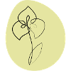 Blume 4