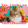 Chat fabuleux