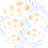 Clownfisch