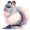 Chinchilla