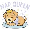 Queen of napping