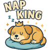 King of napping
