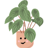 pflanze