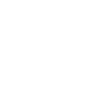 Viking Ship
