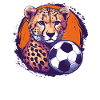 Cheetah with football