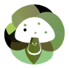 Mushrooms Poisonous Mushroom species