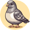 Gentle dove in a circle