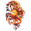 Africa Wildlife of Animals