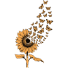 Flower turns into butterflies